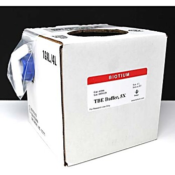TBE Buffer, 5X