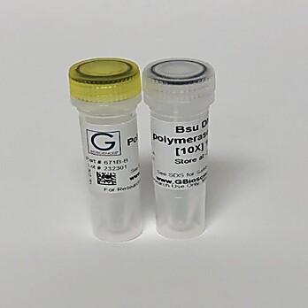 Bsu DNA Polymerase, Large Fragment