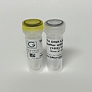T4 DNA Ligase