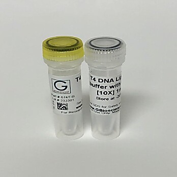 T4 DNA Ligase