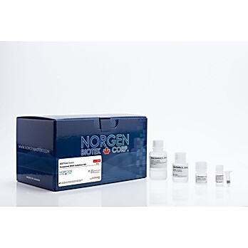 EXTRAClean Exosomal RNA Isolation Kit
