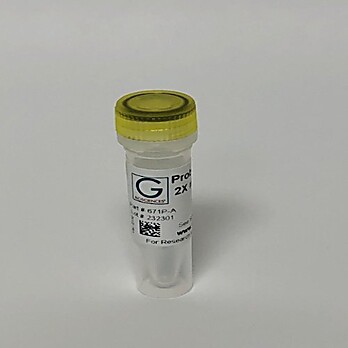 Probe-based qPCR 2X Master Mix