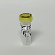 SYBR® Green Based qPCR 2X Master Mix