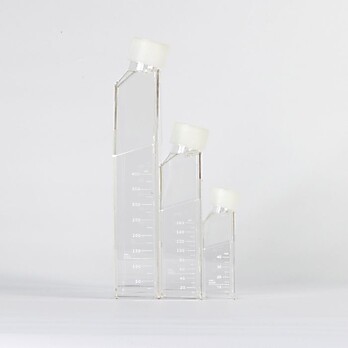 Cell Culture Flasks