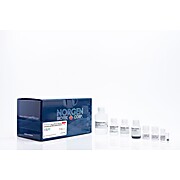 EXTRAClean Plasma/Serum Exosome Purification and RNA Isolation Kits
