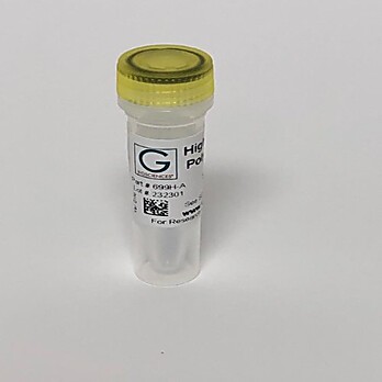 High Fidelity DNA Polymerase 2X Master Mix