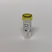 Hot Start Taq DNA Polymerase 2X Master Mix