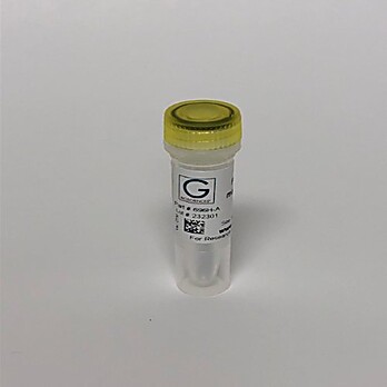Hot Start Taq DNA Polymerase 2X Master Mix