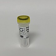 Probe-based One Step RT-qPCR 2X Master Mix