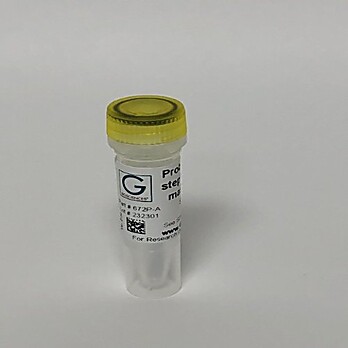 Probe-based One Step RT-qPCR 2X Master Mix 