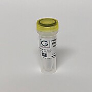 Hot Start High Fidelity DNA Polymerase 2X Master Mix