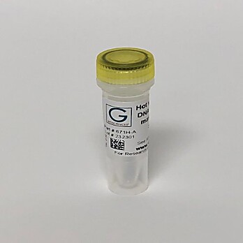 Hot Start High Fidelity DNA Polymerase 2X Master Mix