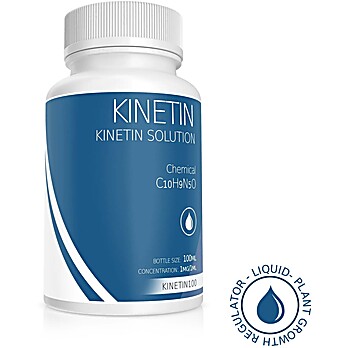 Kinetin Powder