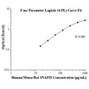 Human/Mouse/Rat SNAP25 ELISA Kit