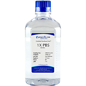 1X PBS (Phosphate Buffered Saline) pH 7.4