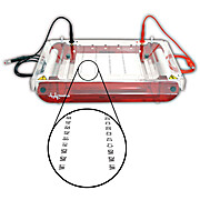 SUBHT High Throughput Sub Electrophoresis
