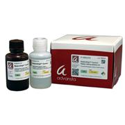 WesternBright™ Quantum™ HRP Substrate