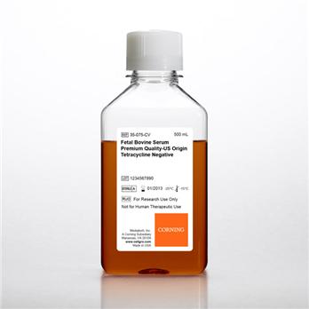 Fetal Bovine Serum, Tetracycline Negative