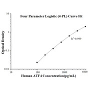 Human ATF4 ELISA Kit