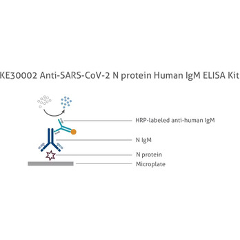   Anti-SARS-CoV-2 N protein Human IgM ELISA Kit