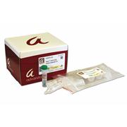 Afyon™ SDS-PAGE Sample Preparation Kit