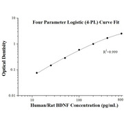 Human/Rat BDNF ELISA Kits