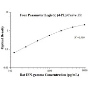 Rat IFN-gamma ELISA Kits