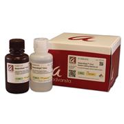 WesternBright™ Sirius™ HRP Substrate