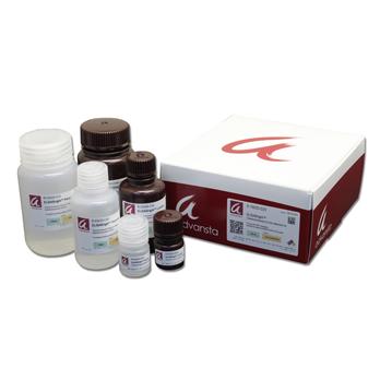 ELISABright™ Chemiluminescent Substrate