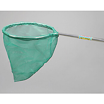 Net, Butterfly And Grasshopper