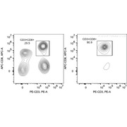 Human CD8 Isolation Kit