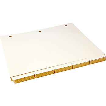 1/5th cut blank tabs, for use in three hole drilled , 8.5" x 11" clean room binders.  manufactured from low particle 90# cleanroom stock.