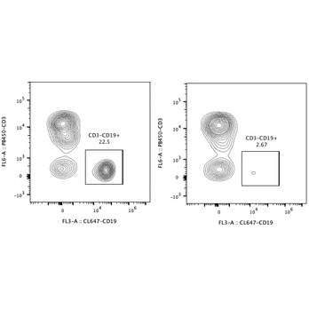 Human CD19 Magnetic Beads