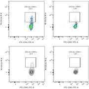 Human CD11b Magnetic Beads