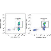Human CD3 T Cell Isolation Kit