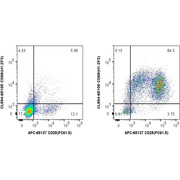 Mouse CD3/CD28 T Cell Activation Beads Kit