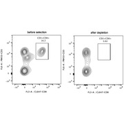 Human CD8 Magnetic Beads