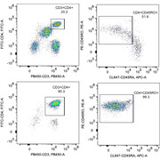 Human CD4 Memory T Cell Isolation Kit