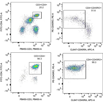 Human CD4 Memory T Cell Isolation Kit