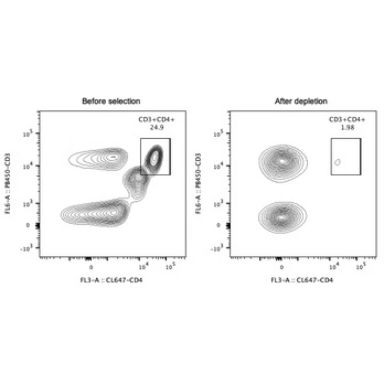 Human CD4 Magnetic Beads