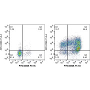Human CD3/CD28 T cell Activation Beads Kit