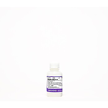 50mg/mL Ampicillin. 25 mL, Sterile 25 pack
