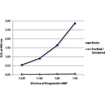 Streptavidin-HRP 1ml