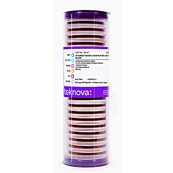 35 Bordet Gengou Agar Plates with 15% Sheep Blood, Sterile