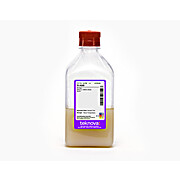 3% Agar in Bottle 500 mL per Bottle, Sterile