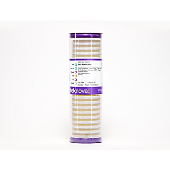 2XYT Agar Plates, Sterile