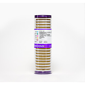 LB Agar Plates with 1% Glucose and Chloramphenicol-34, Sterile