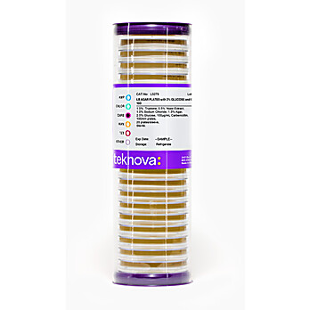 LB Agar Plates with 2% Glucose and Carbenicillin-100, Sterile