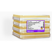 LB Agar Plates with Carb-100, Sterile