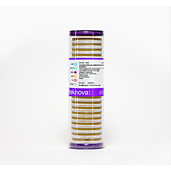 LB Agar Plates with Carb-100, 60µg/mL X-Gal, 0.3mM IPTg, Sterile